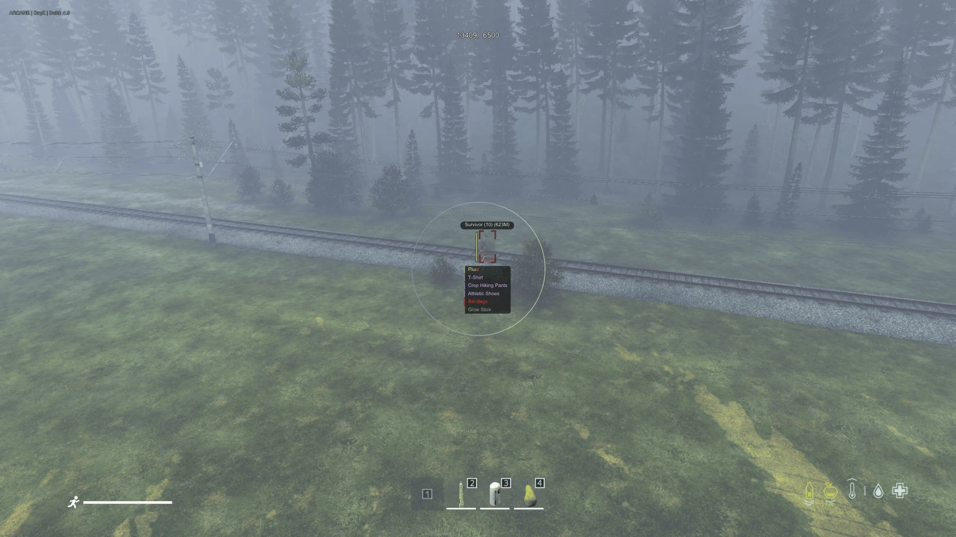 Arcane DayZ image 5